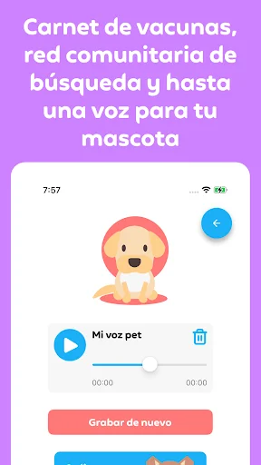 Qrarte: Conecte sua história com Arte via QR Code – Baixe Agora - Screenshot 19