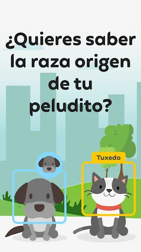 Qrarte: Conecte sua história com Arte via QR Code – Baixe Agora - Screenshot 15