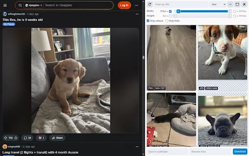 Image Downloader: Baixe Fotos em Massa no Chrome – Grátis - Screenshot 1