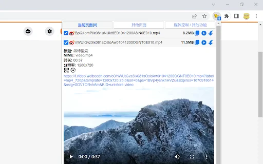 Cat-Catch: A Melhor Extensão para Baixar Vídeos no Chrome - Screenshot 1