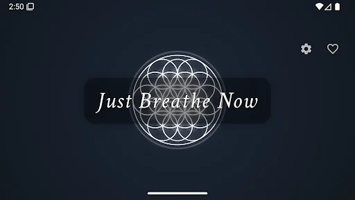 Just Breathe Now: Melhore Sua Saúde com Exercícios de Respiração - Screenshot 8
