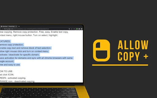 Allow Copy +: Habilite Copiar e Colar em Qualquer Site no Chrome - Screenshot 2