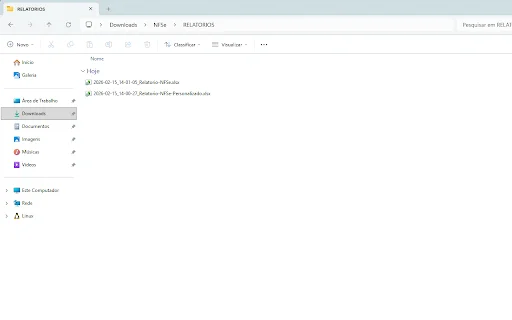 Baixar NFSe em Massa: XML e PDF com a Extensão Oficial - Screenshot 4