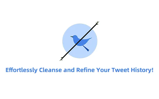 DeleteTweets: Exclua Tweets, Retweets e Curtidas em Massa Facilmente - Screenshot 1