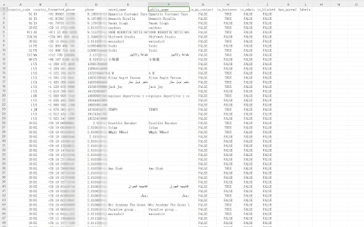Exportar Contatos WhatsApp: Salve Leads e Grupos Facilmente - Screenshot 2
