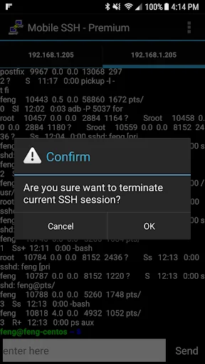 Mobile SSH (Premium) – Gerencie seus servidores com facilidade - Screenshot 13