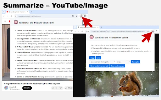 Summarize and Translate with Gemini: Resumos e Traduções Ágeis - Screenshot 2