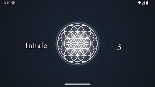 Just Breathe Now: Melhore Sua Saúde com Exercícios de Respiração - Screenshot 16