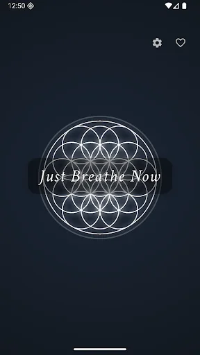 Just Breathe Now: Melhore Sua Saúde com Exercícios de Respiração - Screenshot 1